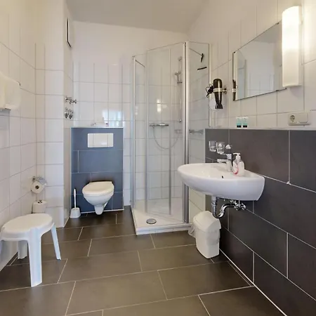 Binzer Sterne 20 *